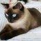 Keiko_picture_thumb
