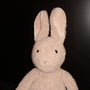 Bunny_large