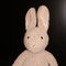 Bunny_thumb