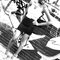 B_w_graffittii_thumb