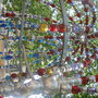 Img_0572_large