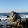 Img_4266_large