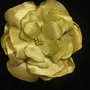 4572086_large