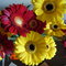 Dsc01565_thumb