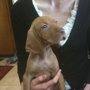 Quincy_2-7-2010_large