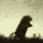 U59510_preview_large