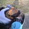 111218_0004_thumb