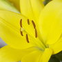Img_1442_large