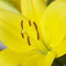 Img_1442_thumb