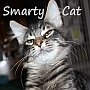 Smartycat_90x90_large