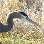 Dscn0199_large