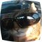 Burda_picture_thumb