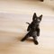 D-neko36902_1_thumb