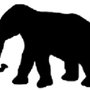 Big_elephant_sig_large