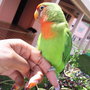Photo0068_large