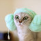 Funny-cat-with-a-towel_thumb