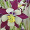 S3010060_thumb