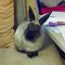 Theo_2011-07-22_17-15-32_617_thumb