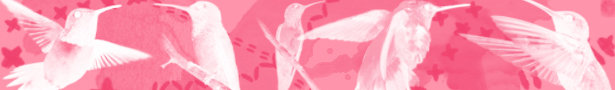Banner_burdaaaa_show
