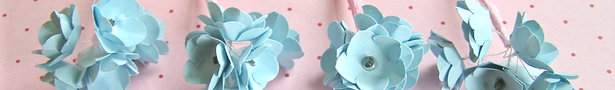 Jc_primroses01_show