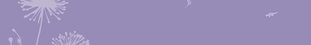 Layout_1_show