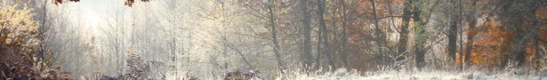 31okt_033_show