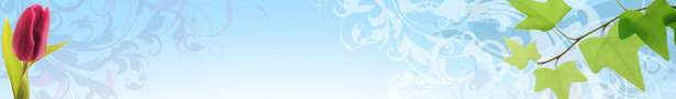 Banner_show