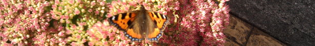 Photo0128_show