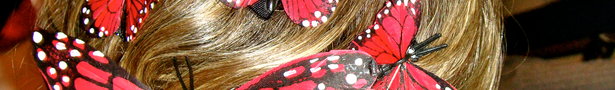 Butterflies_show