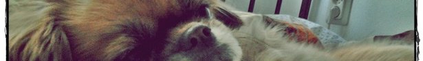 2012-03-08_08_49_16_show