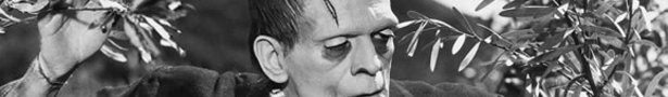 Frankenstein-1cropped_show
