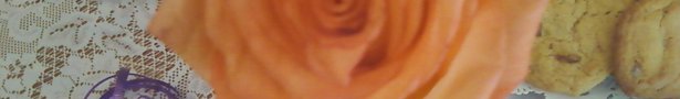 Banner_image_2_show