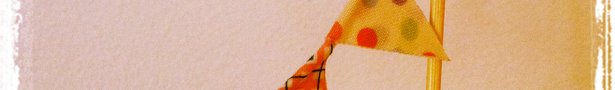 Flag_pic_show
