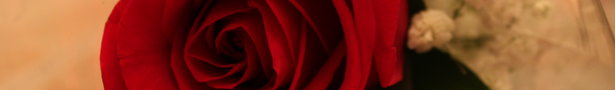 Img_5703_show