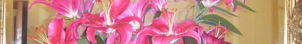 Dscf2084_show