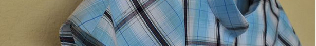 Kaiths_blue_liz_tahianko_header_image_1_show
