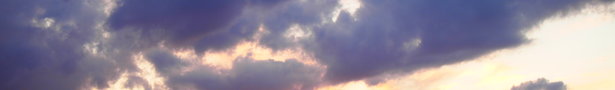 Pc302403_show