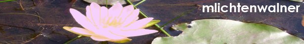Burdasylebanner_show