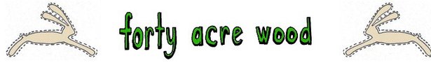 Banner_green_scribbly_writing_with_rabbits_show