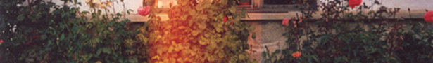 Tumblr_l9xqihdmpd1qbeidno1_400_show