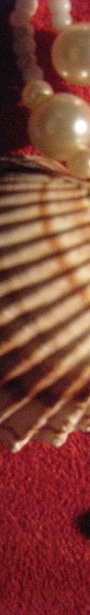 Img_4196_show