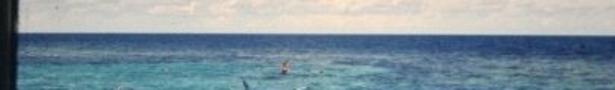 Banner_show