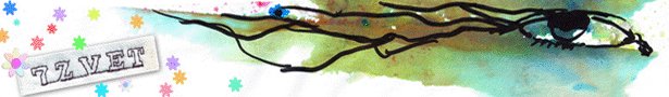 7zvet-banner_copy_show