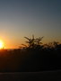 Img_2462_show