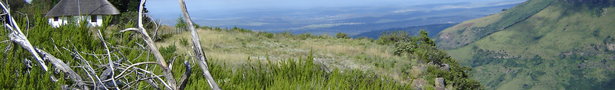 Dsc05548_show