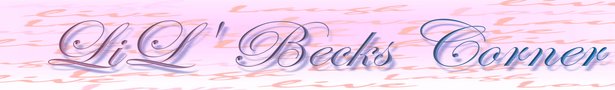 Banner_lilbeckscorner20_show
