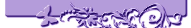 Header_show