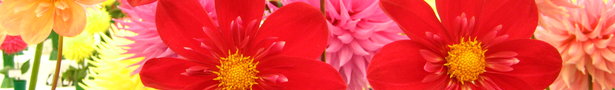 Img_0119_show
