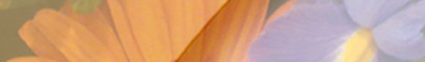 You_re_subscribed_2_show