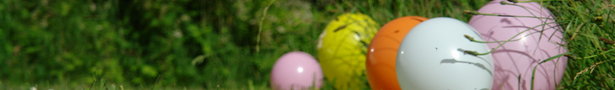 Dsc00910_show